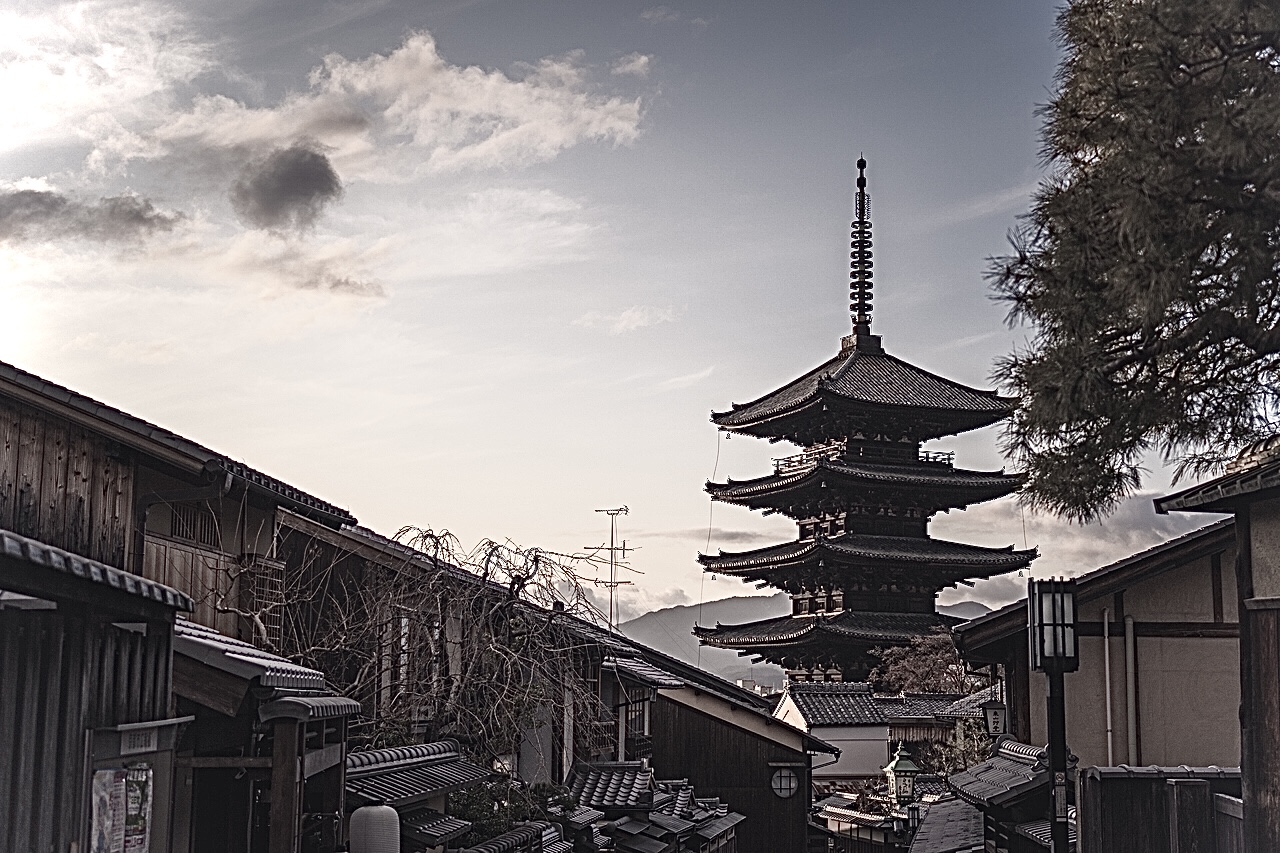 野々すみ花の身長や経歴に生年月日は 美人画像も大追跡 元宝塚 ミノルレポート